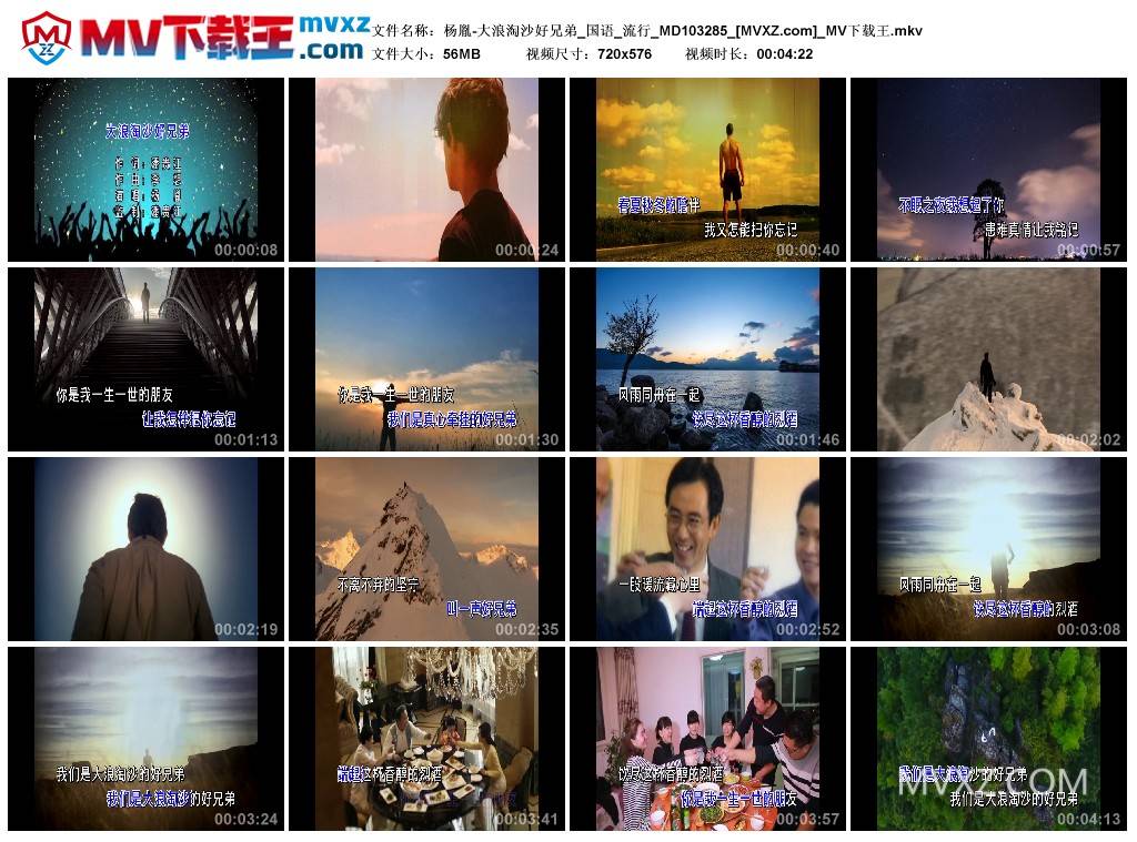 杨胤-大浪淘沙好兄弟_国语_流行_MD103285